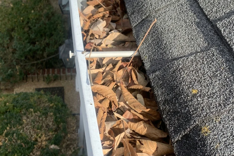 Gutter Cleaning Atlantis FL